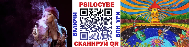 сайты даркнета официальный сайт  Онега  Галлюциногенные грибы GOLDEN TEACHER 